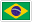 Portugues & Brasileiro